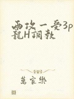 两攻一受3p双龙H调教