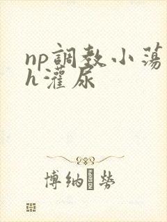 np调教小荡货h灌尿