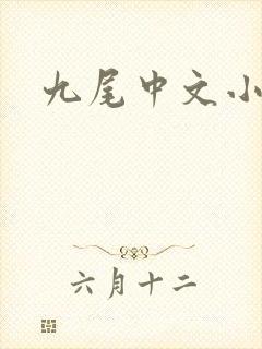 九尾中文小说网