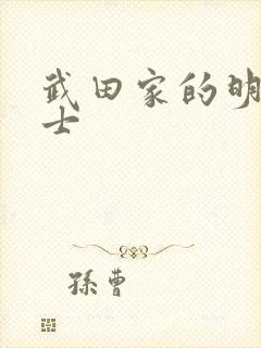 武田家的明国武士