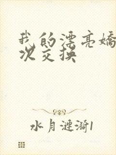 我的漂亮娇妻初次交换