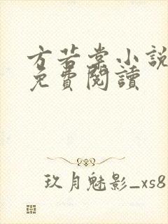 方若棠小说全文免费阅读