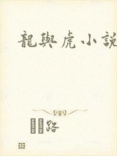 龙与虎小说