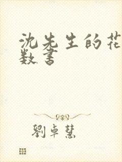 沈先生的花式调数书