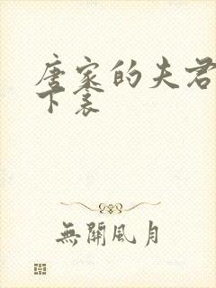 唐家的夫君们帘下衾