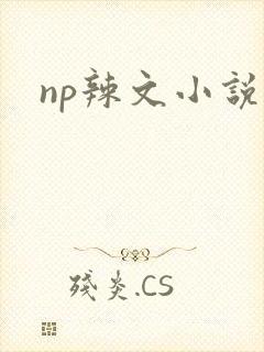 np辣文小说