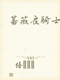 蔷薇夜骑士