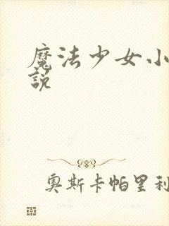 魔法少女小圆小说