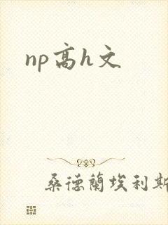 np高h文