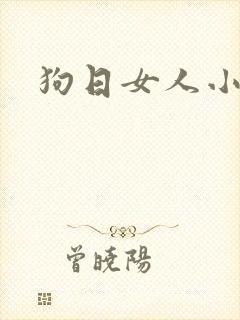狗日女人小说