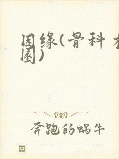 因缘(骨科 校园)