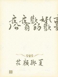 夜夜欢好(高h)公翁的欢爱