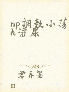 np调教小荡货h灌尿