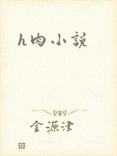 h肉小说