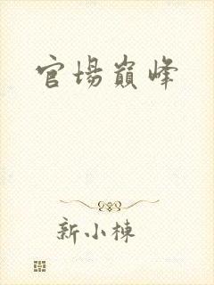 官场巅峰