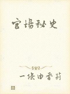 官场秘史