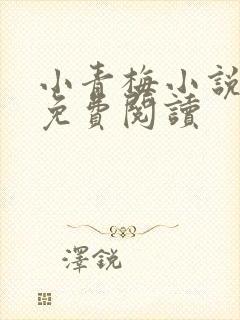 小青梅小说全文免费阅读