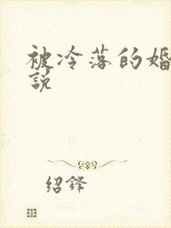 被冷落的婚姻小说