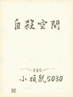 自杀空间