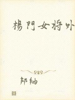 杨门女将外传