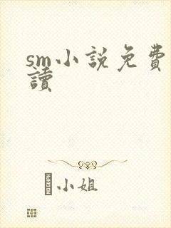 sm小说免费阅读