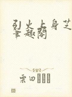 引火上身芝麻糖笔趣阁