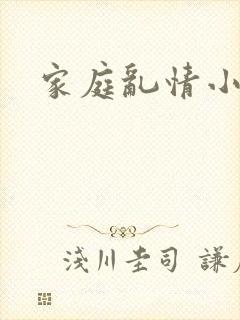家庭乱情小说