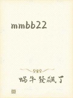 mmbb22