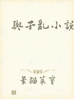与子乱小说