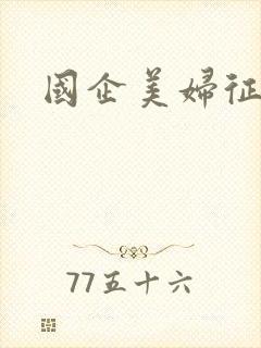 国企美妇征途