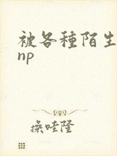 被各种陌生人 np