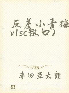 反差小青梅(1v1sc粗口)