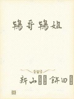 鸨哥鸨姐