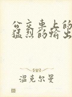 公交车上的诗请猛烈的输出阅读