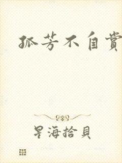 孤芳不自赏小说