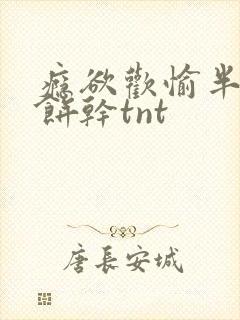 瘾欲欢愉半块小饼干tnt