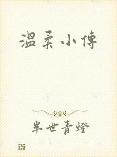 温柔小传