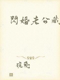 闪婚老公藏不住