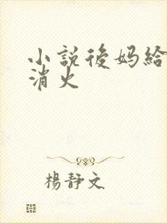 小说后妈给我消消火