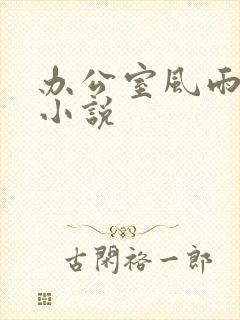 办公室风雨完整小说