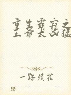 重生霸宠之摄政王爷太凶猛