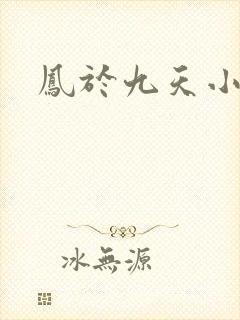 凤于九天小说