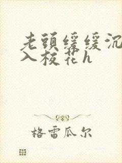 老头缓缓沉腰进入校花h