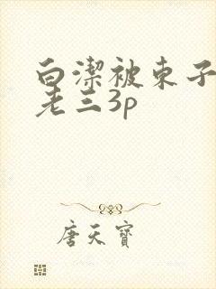 白洁被东子老二老三3p
