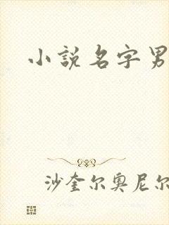 小说名字男生