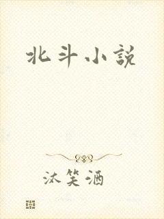 北斗小说