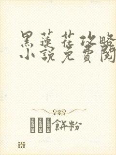 黑莲花攻略手册小说免费阅读