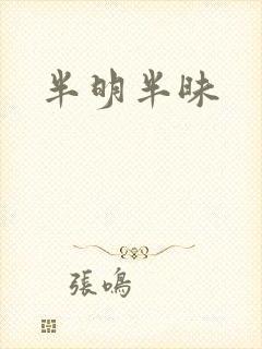 半明半昧