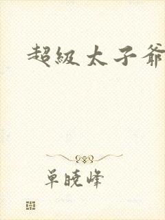 超级太子爷