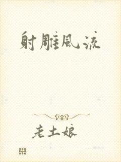 射雕风流